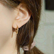 Load image into Gallery viewer, Minimalist Oval Hoop Earrings for Women Low-key Ear Piercing Accessories Daily Wear Jewelry