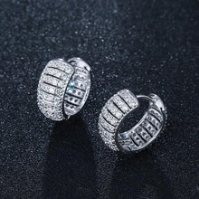 Load image into Gallery viewer, Trendy Sparkling Cubic Zirconia Hoop Earrings Women Daily Wear Jewelry he36 - www.eufashionbags.com