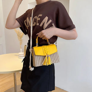 Mini Straw Bags for Women Tassels Crossbody Bags Travel Purse a127