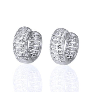 Trendy Sparkling Cubic Zirconia Hoop Earrings Women Daily Wear Jewelry he36 - www.eufashionbags.com