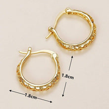 Load image into Gallery viewer, Delicate Graceful Hollow-out Hoop Earrings Women Metallic Style Jewelry Gift he10 - www.eufashionbags.com