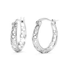 Load image into Gallery viewer, Delicate Graceful Hollow-out Hoop Earrings Women Metallic Style Jewelry Gift he10 - www.eufashionbags.com